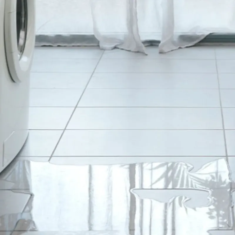 Appliance Leak Cleanup in Marshall, MI