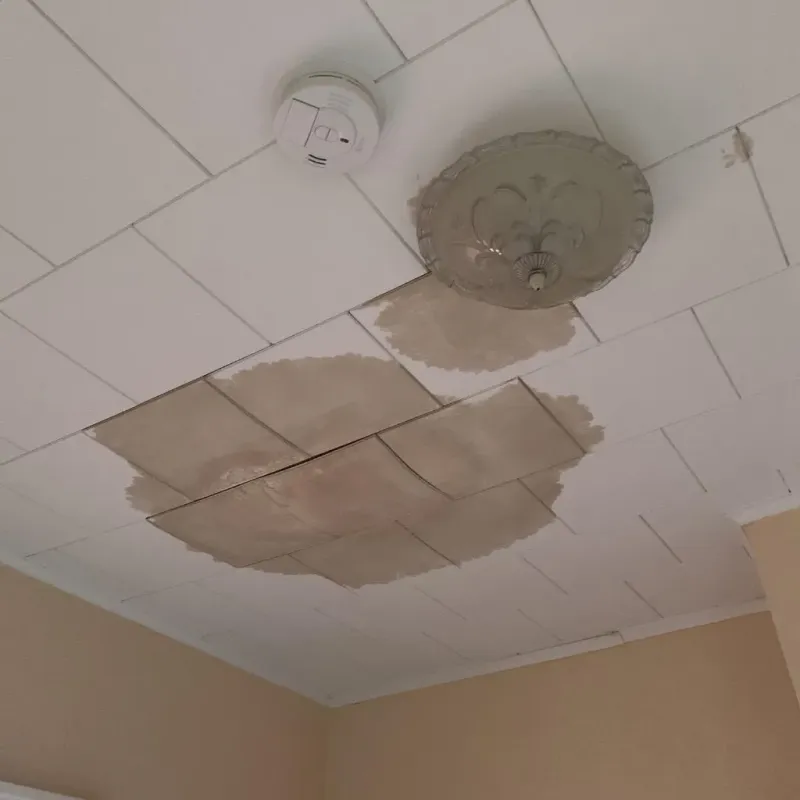 Ceiling Water Damage Repair in Marshall, MI