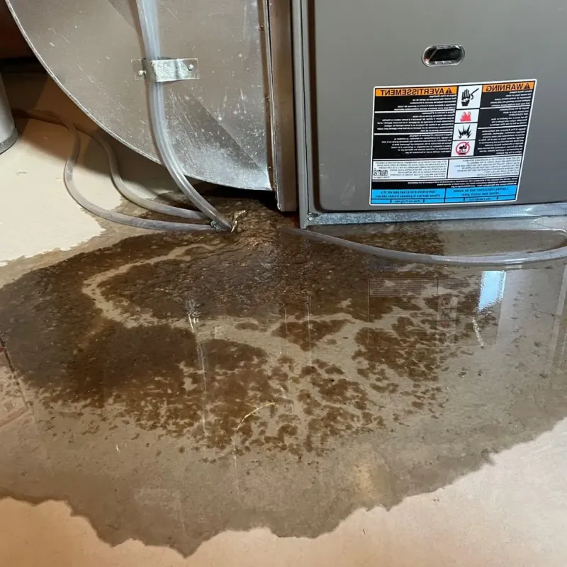 Pipe Burst and Leak Restoration in Marshall, MI