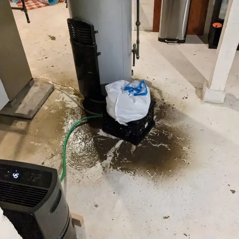 Sewage Backup Cleanup Service in Marshall, MI